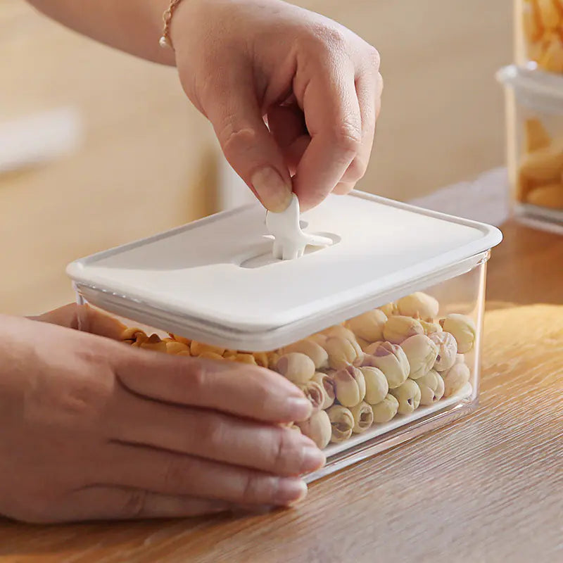 Plastic Food Storage Box for Fruits and Dumplings
