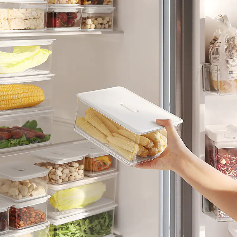 Plastic Food Storage Box for Fruits and Dumplings